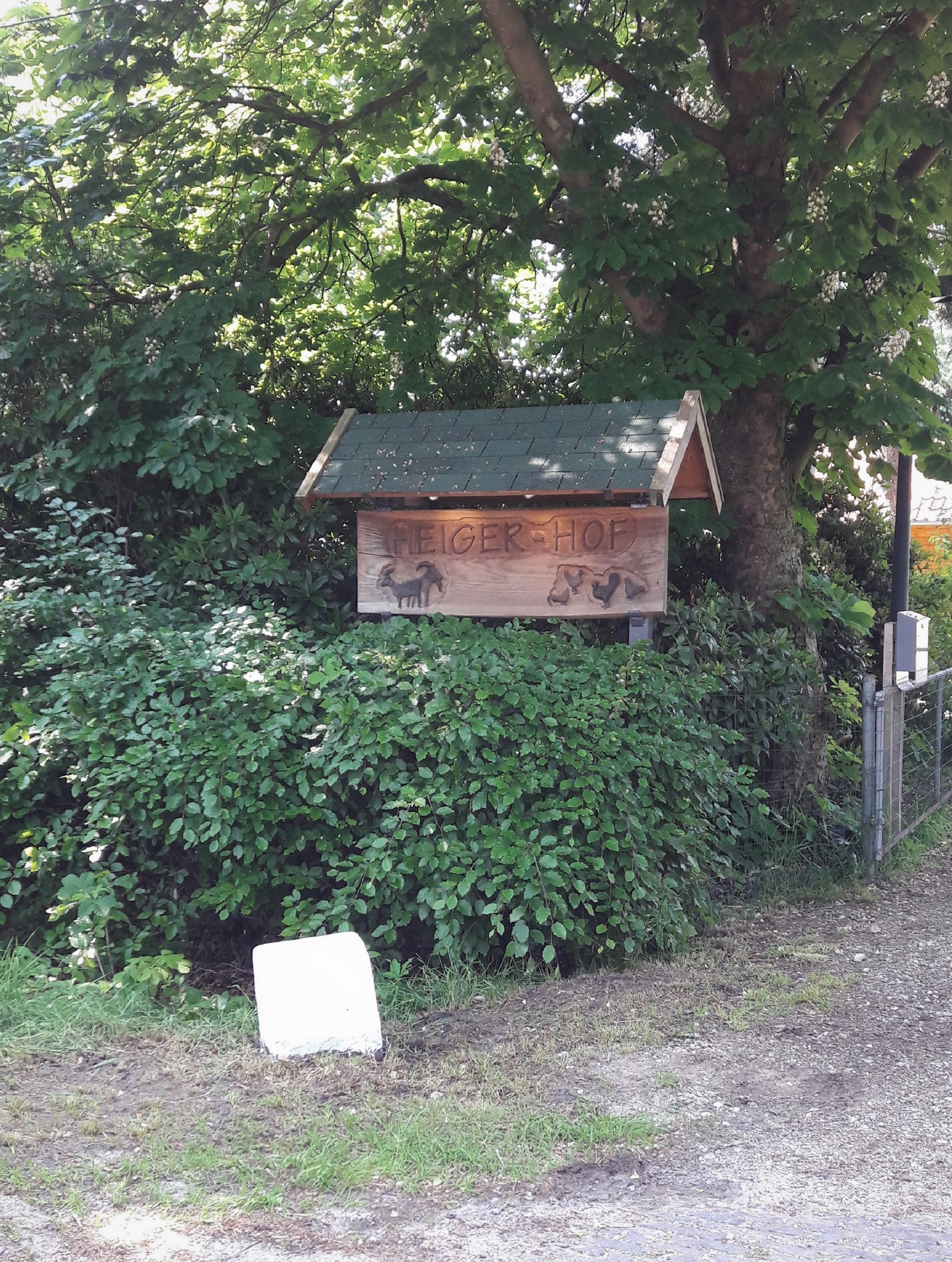 Wohnmobilstellplatz - Einfahrt zum Hof - Heiger-Hof, Wittenrieder Straße 22, 26188 Edewecht