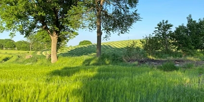 Reisemobilstellplatz - Art des Stellplatz: eigenständiger Stellplatz - Sierksdorf - Hof Schlossblick