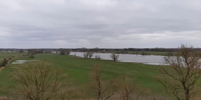 Reisemobilstellplatz - Art des Stellplatz: bei Gewässer - Leussow - Blick auf die Elbe - Wohnmobil- und Wohnwagenstellplatz Dorfrepublik Rüterberg