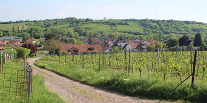 Reisemobilstellplatz - Frischwasserversorgung - Gleisweiler - Bioland Wein- und Sektgut Marienfelderhof