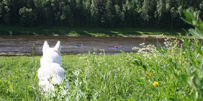 Posto auto camper - Bademöglichkeit für Hunde - Lettonia - Aussicht auf den Fluss Daugava - Upes Dizvietas