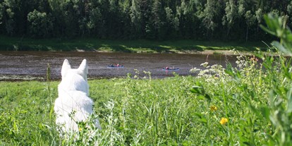 Reisemobilstellplatz - Bademöglichkeit für Hunde - Lettgallen-Region - Aussicht auf den Fluss Daugava - Upes Dizvietas