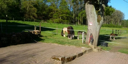 Reisemobilstellplatz - Alsfeld - Weiterer Stellplatz mit Blick ins Aulatal und auf die Weiden. - Reiterhof Aumühle