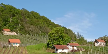 Reisemobilstellplatz - Umgebungsschwerpunkt: am Land - Königsberg in Bayern - Himmlische Träume mit Weinpanorama