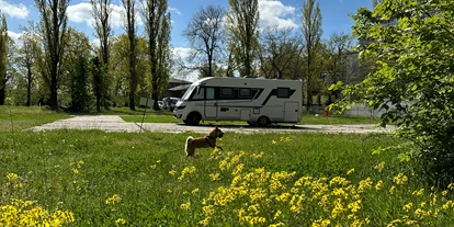 Posto auto camper - SUP Möglichkeit - Ketzin - Stellplatz am Templiner See – Kongresshotel Potsdam