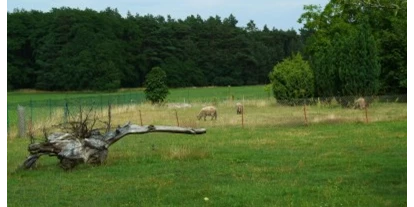 Place de parking pour camping-car - Hunde erlaubt: Hunde teilweise - Altdöbern - Willkommen im Lausitzer Seenland