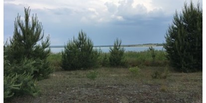 Reisemobilstellplatz - Umgebungsschwerpunkt: See - Weißwasser - Willkommen im Lausitzer Seenland
