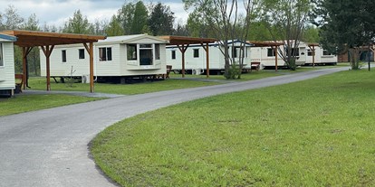 Reisemobilstellplatz - SUP Möglichkeit - Mobilheime sind sehr schön - Camp Casel - Das Feriendorf für Camping und Wohnen am Gräbendorfer See