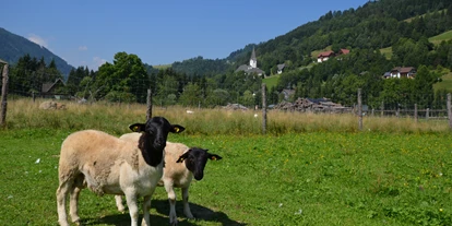 Reisemobilstellplatz - Umgebungsschwerpunkt: am Land - Sankt Margarethen im Lungau - Ferienbauernhof Bräuhauser