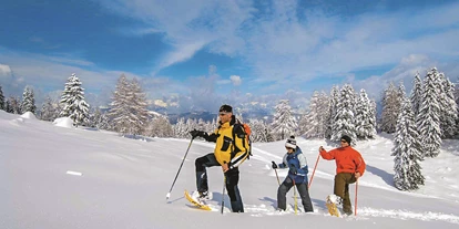 Reisemobilstellplatz - Art des Stellplatz: eigenständiger Stellplatz - Auen (Mörtschach) - Schneeschuhwandern - Caravan und Hotel Reisemobilstellplatz Gailberghöhe