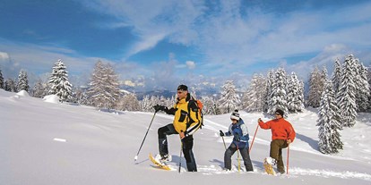 Reisemobilstellplatz - Österreich - Schneeschuhwandern - Caravan und Hotel Reisemobilstellplatz Gailberghöhe