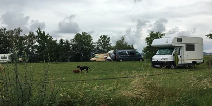 Reisemobilstellplatz - Hunde erlaubt: Hunde erlaubt - Windesheim - Bioferienhof Loreley