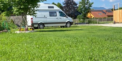 Motorhome parking space - Hunde erlaubt: Hunde erlaubt - Edlbach - Panoramaeck Sankt Gallen