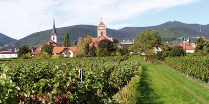 Reisemobilstellplatz - Duschen - Göcklingen - Unser schöner Weinort.  - Wohnmobilstellplatz Weingut Groß
