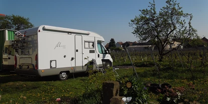 Reisemobilstellplatz - öffentliche Verkehrsmittel - Göcklingen - Wir bieten bei unserem Weingut, auf befestigten Stellplätzen, Platz für drei Wohnmobile. Hier haben Sie einen wunderschönen Blick auf die angrenzenden Weinberge und die Kalmit, die höchste Erhebung des Pfälzer Waldes. 
Die Platzmiete beträgt pro Tag und Fahrzeug 13,- Euro. Sie beinhaltet die Nutzung von Toilette und Dusche, sowie Strom für Ihr Fahrzeug. Außerdem stehen Ihnen eine überdachte Terrasse, eine große Wiese, sowie eine Grillmöglichkeit zur Verfügung. - Wohnmobilstellplatz Weingut Groß