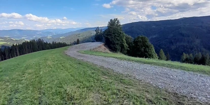 Reisemobilstellplatz - Umgebungsschwerpunkt: Berg - Thann (Weißkirchen in Steiermark) - Rinner Almcamp