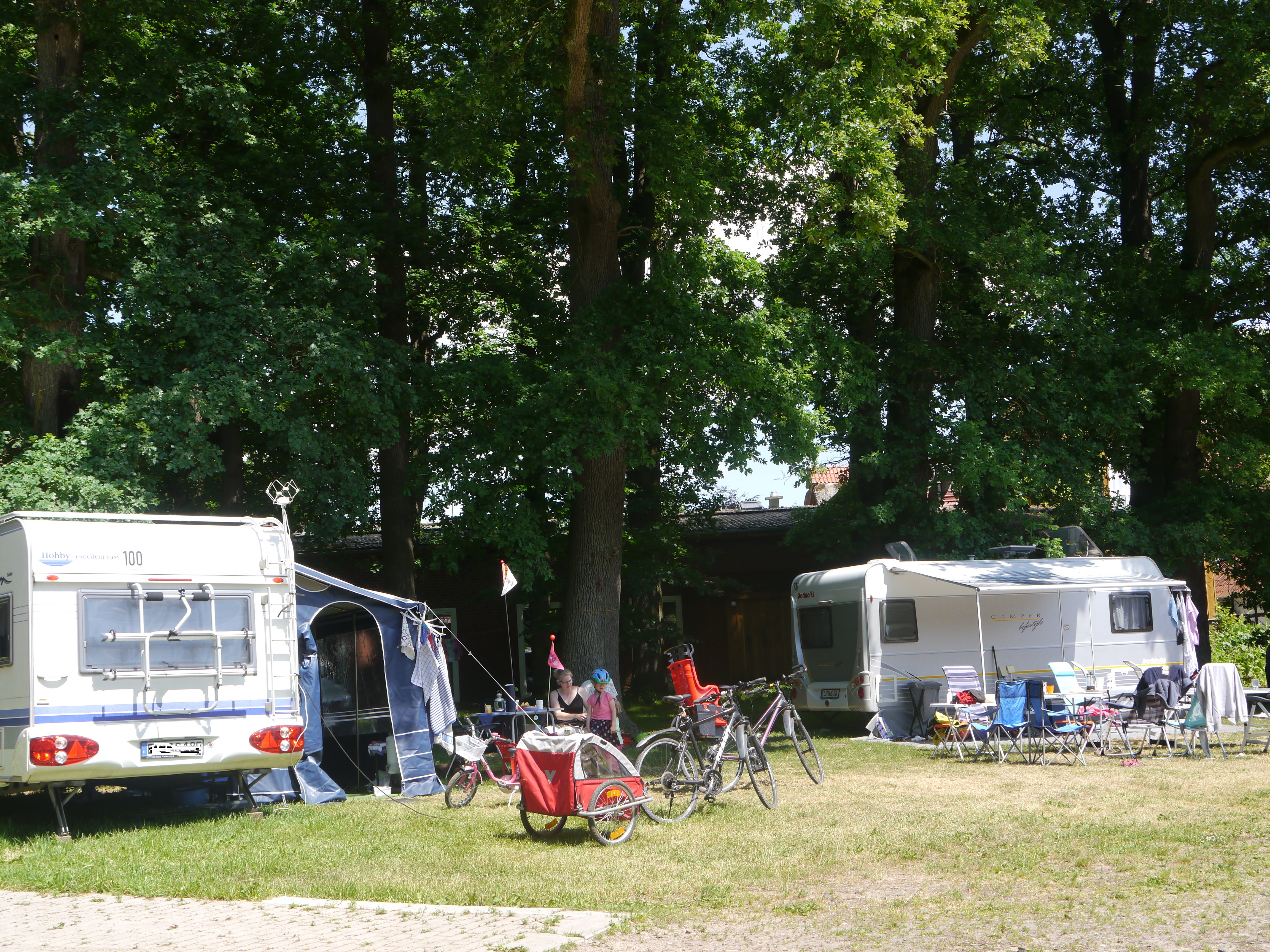 Wohnmobilstellplatz - 3 Stellplätze unter hohen Eichen - Hof am Kolk