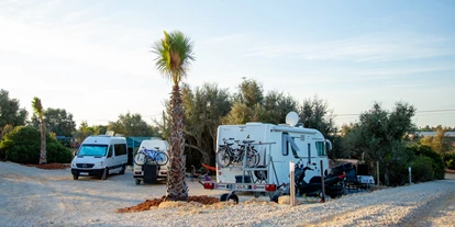 Parkeerplaats voor camper - Duschen - Portugal - Ein Teil unseres Campingplatzes  - Oasis Camp