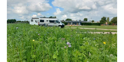 Reisemobilstellplatz - Spielplatz - Azewijn - Camperpark 't Dommerholt