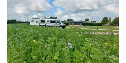 Motorhome parking space - Umgebungsschwerpunkt: am Land - Netherlands - Camperpark 't Dommerholt