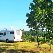 Parkeerplaats voor campers - Viewpoint pitch - Randers City Camp