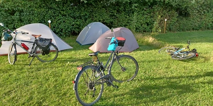 Reisemobilstellplatz - Stromanschluss - Ellhöft - Daler Camping
