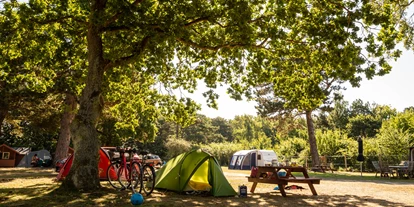 Parkeerplaats voor camper - Allinge - DCU-Camping Rønne Strand - Galløkken