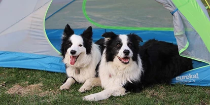 Reisemobilstellplatz - Duschen - Gravenstein - Hund ist erlaubt - Gåsevig Strand Camping