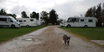 Motorhome parking space - Duschen - North Jutland - Hanstholm Camping