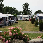 Parkeerplaats voor campers - Campsite - Hasle Camping