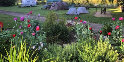 Posto auto camper - camping.info Buchung - Nørre Snede - Camping Gyvelborg øko & gårdbutik