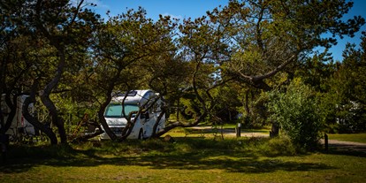 Motorhome parking space - Vesløs - Nystrup Camping Klitmøller