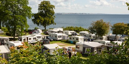 Reisemobilstellplatz - Rønde - DCU-Camping Aarhus - Blommehaven