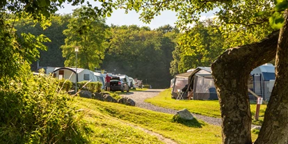 Parkeerplaats voor camper - Rønde - DCU-Camping Aarhus - Blommehaven