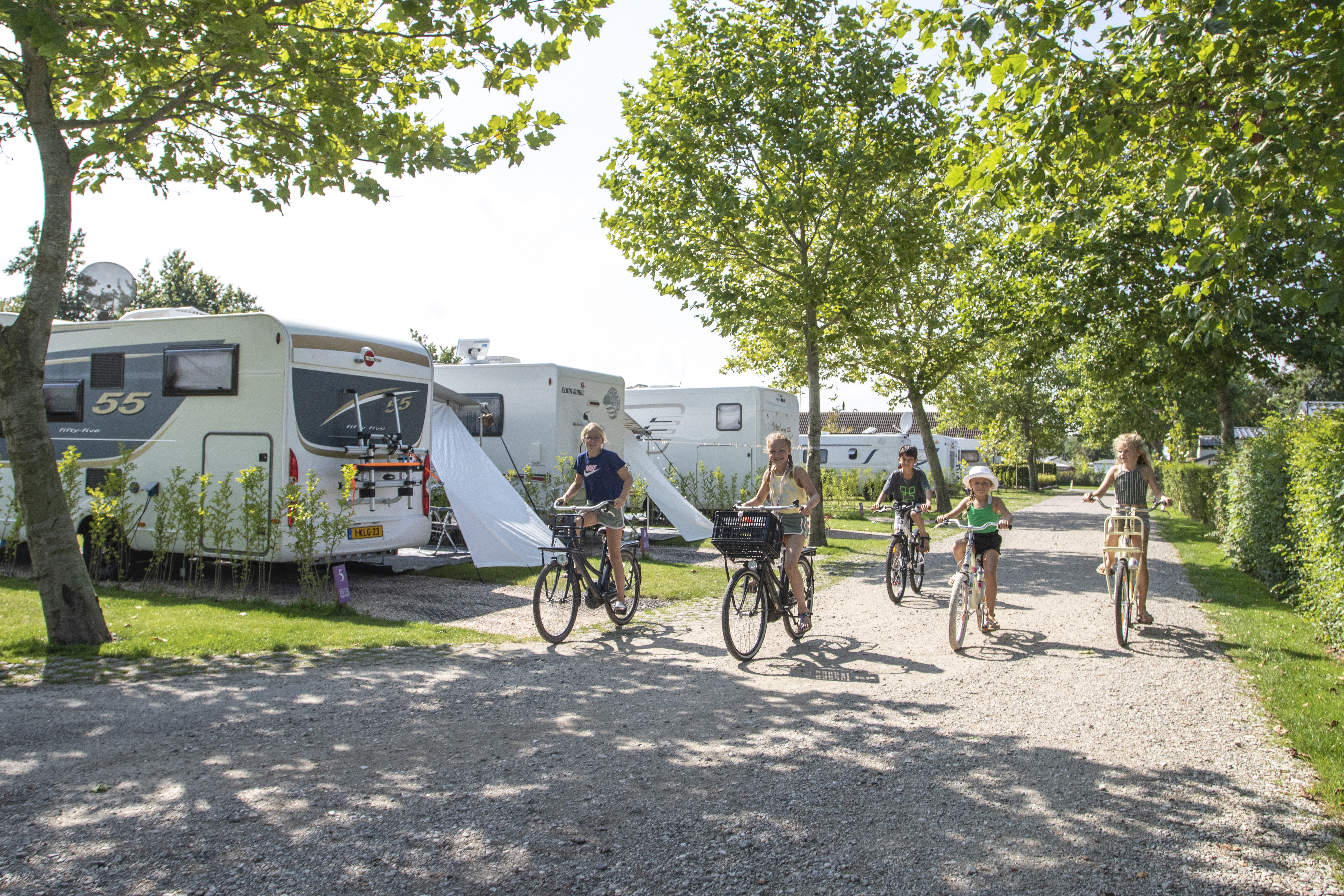 Camperplaats - Familie camping De Molenhoek