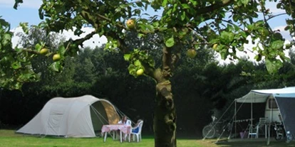 Parkeerplaats voor camper - WLAN: teilweise vorhanden - Blitterswijck - Camping de Rozenhorst