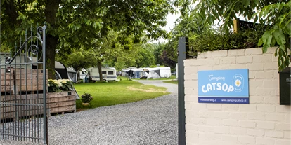 Plaza de aparcamiento para autocaravanas - Limburg (België) - Herzlich willkommen auf Camping Catsop - Camping Catsop
