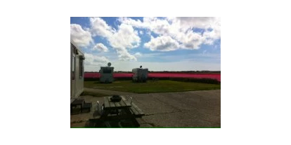 Reisemobilstellplatz - Umgebungsschwerpunkt: am Land - Breezand - Camping met uitzicht op het tulpenveld. - SVR Camping Mariahoeve