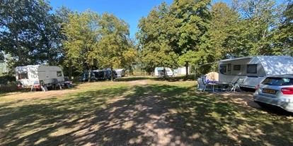 Motorhome parking space - Gelderland - Nur ein Bild vom Campingplatz - Camping Groot Antink