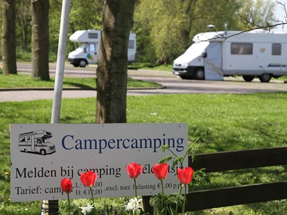Motorhome parking space - Bademöglichkeit für Hunde - Campercamping 't Seleantsje Molkwerum