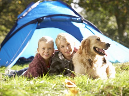Reisemobilstellplatz - Hunde erlaubt: Hunde teilweise - Loënga - Campercamping 't Seleantsje Molkwerum