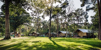 Reisemobilstellplatz - Kessel - Camping  Recreatiepark Beringerzand