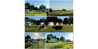 Motorhome parking space - Zeegse - Camperplaats Westerwijtwerd