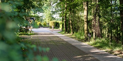 Motorhome parking space - Wohnwagen erlaubt - Groenlo - Minicamping Nieuw-Kempink