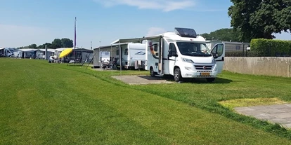 Reisemobilstellplatz - Angelmöglichkeit - Azewijn - Camping Waalstrand