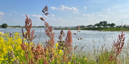 Reisemobilstellplatz - Entsorgung Toilettenkassette - Azewijn - Camping Waalstrand