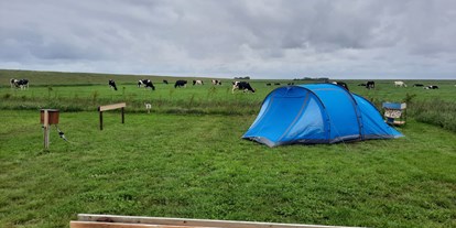 Reisemobilstellplatz - Art des Stellplatz: im Campingplatz - Westerland (Nordholland) - Boerencamping De Eendracht
