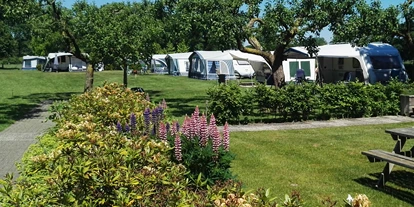 Reisemobilstellplatz - WLAN: am ganzen Platz vorhanden - Agelo - Camping de Veldzijde
