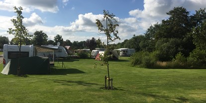 Motorhome parking space - Pieterburen - SVR Camping De Wedze