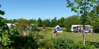 Reisemobilstellplatz - Dokkum - SVR Camping De Wedze